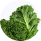 Organic Kale FD Powder